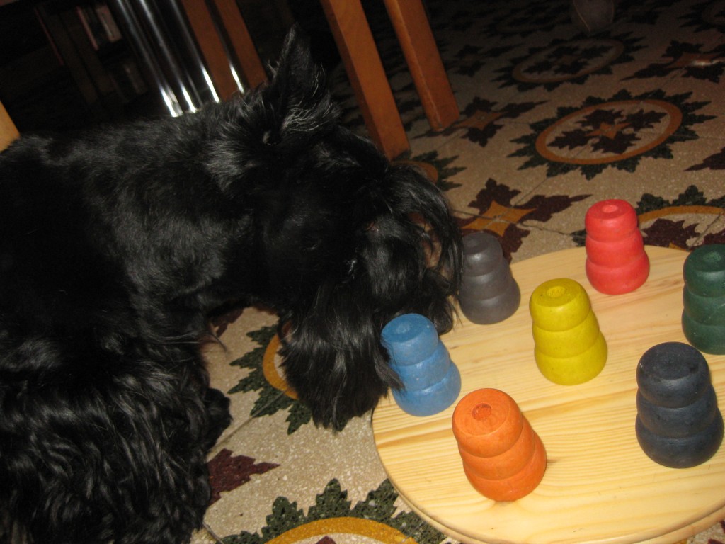 Macadam solving a Puzzle, December 2008